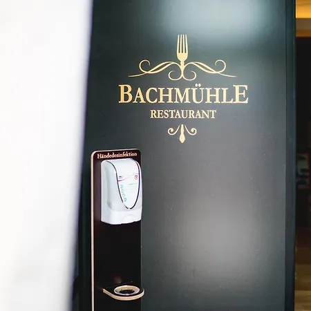 Bachmuehle Hotel 3*