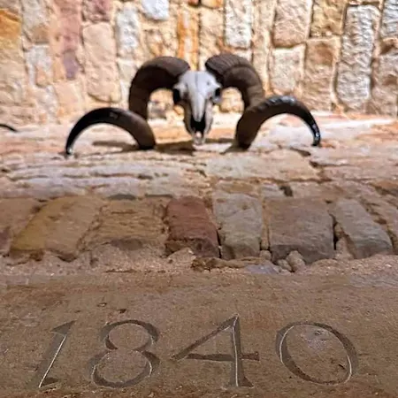 فندق Bachmuehle فولدا