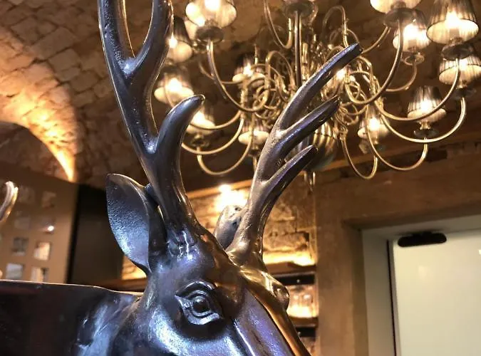 巴赫磨坊酒店 3* 富尔达